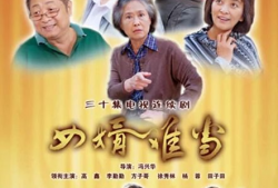 女婿难当电视剧